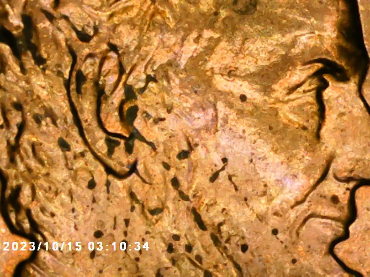 2006-Lincoln-Small-Cent-With-Possible-Double-Ear